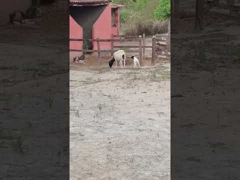 11 de março de 2026