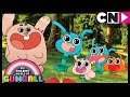 Gumball | Anais' Paradise | The Check | Cartoon Network