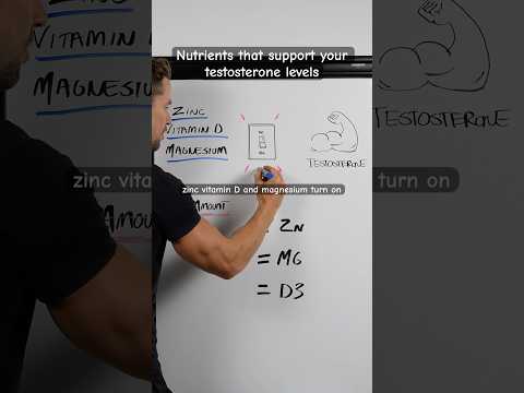 Nutrients that support your testosterone levels - zinc, vitamin D and magnesium