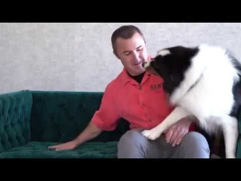 Single Animal Protein Limited Recipe by RAWZ Natural Pet Food