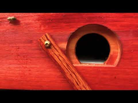 Rundes Flugloch an der Mellifera Einraumbeute / Wächterbiene / Kurzvideo