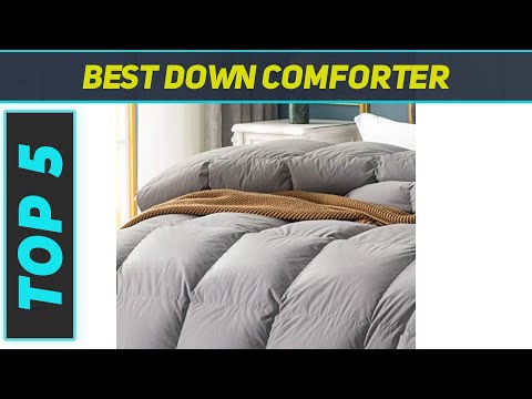 5 Best Down Comforter in 2023