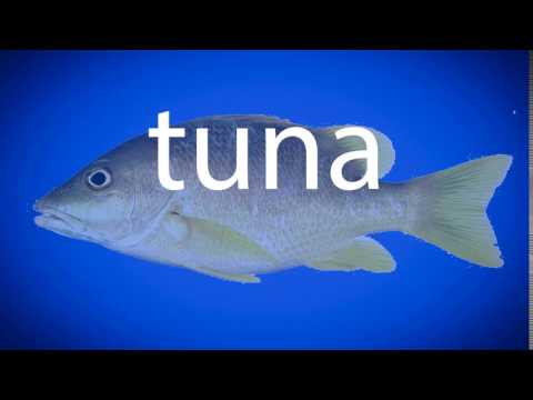 How to pronounce tuna