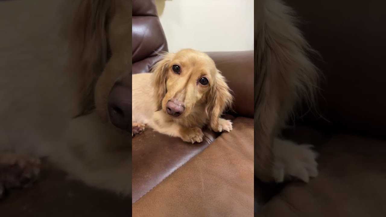 SNSで受けたコメントにに落ち込んでいます。