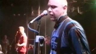 The Business   Southgate Euro  96 live HQ