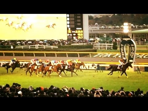 2016.11.27ジャパンカップ⑤勝ち馬キタサンブラック武豊＠東京競馬場