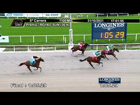 211031 c05 DISCREET QUEEN