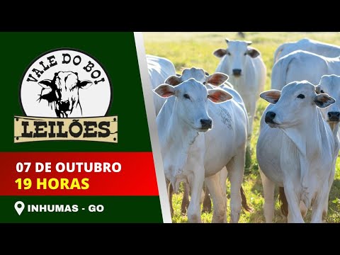 LEILAO VIRTUAL E PRESENCIAL VALE DO BOI LEILOES - INHUMAS GO -  07/10/2025