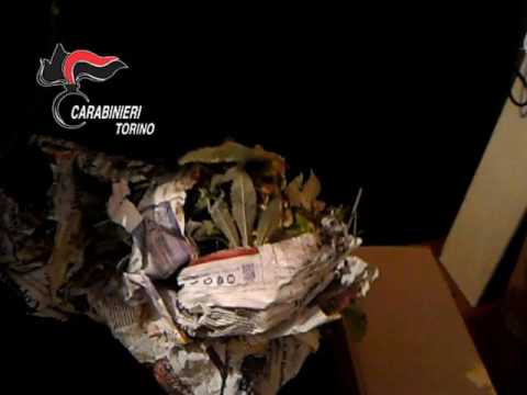 VOLPIANO. Droga: serra di cannabis in casa, operaio arrestato