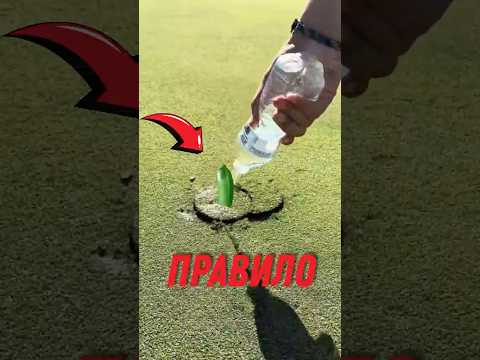 ⛳ Почему в гольфе нельзя бросать траву! #гольф #поледлягольфа #трава