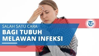 Demam, Kondisi Tubuh Ketika Melawan Infeksi