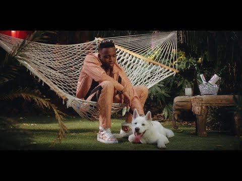 Not3s Just Fine Official Video