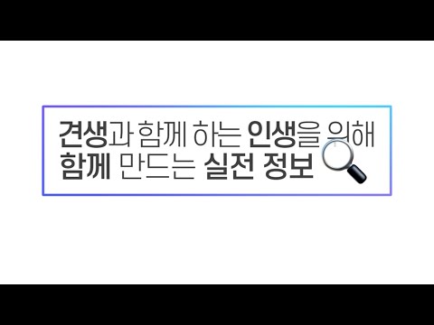 PETWORK - 반려견 가족 정보 네트워크, 펫트워크