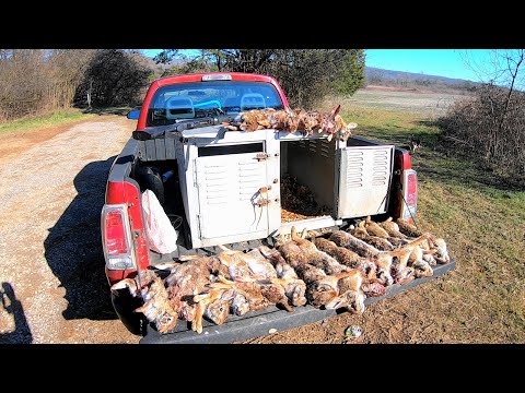 Rabbit Hunting Opening Day of James D Martin Management Area