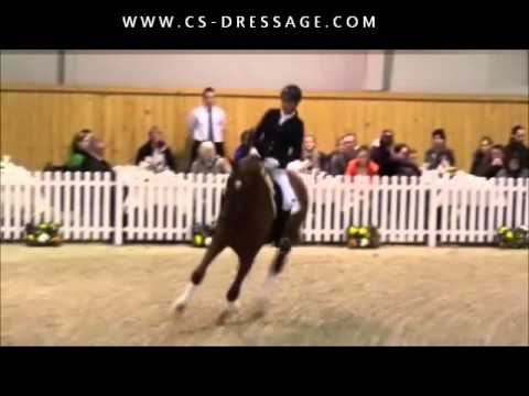 Fürst Fohlenhof - Bundeschampion.wmv