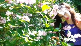 NASTYA FIRE | Shivaree — John, 2/14