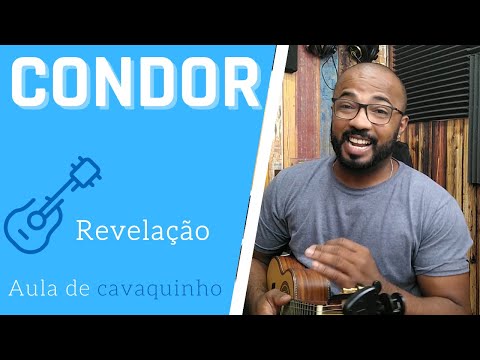 Cóndor - Bocho