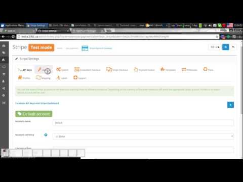 Stripe: installation process