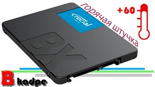 Crucial BX500 480 GB (CT480BX500SSD1) купить в интернет-магазине