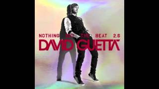 David Guetta - Play Hard (feat. Ne-Yo &amp; Akon) (Original mix)