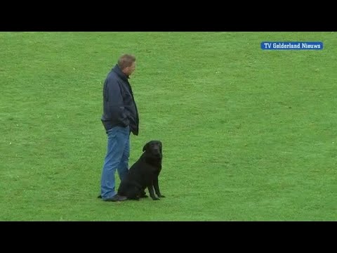 GLD Nieuws 6 augustus 2012 - Nieuws