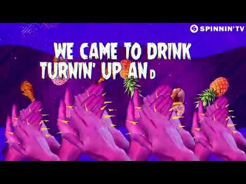 TJR ft. Savage - We Wanna Party