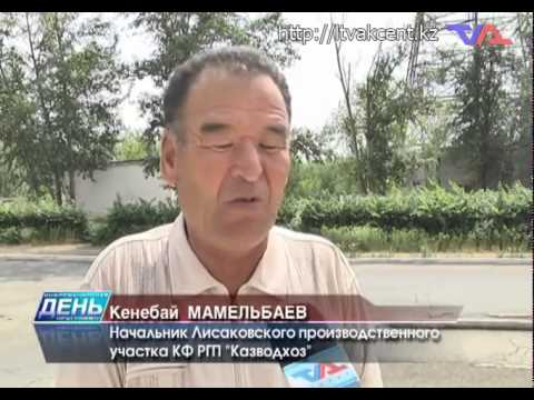 Лисаковск, выпуск программы «День» от 27 июня 2014 г.