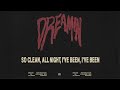 PARTYNEXTDOOR Dreamin Lyric Video