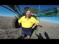 Using Dead Sure on the Darling Downs