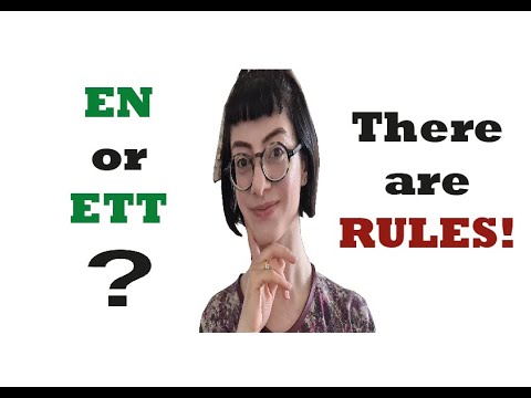 Swedish nouns: EN or ETT? There are RULES! | Module 5