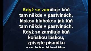 Dětské písničky - Když se zamiluje kůň (karaoke z www.karaoke-zabava.cz) Dětské písničky - Když se zamiluje kůň (karaoke z www.karaoke-zabava.cz)
