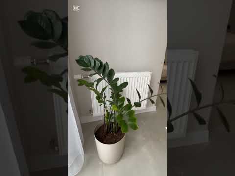 фото гоголя ул, 88, брест, брестская область, 2 комн., 40 м² 0