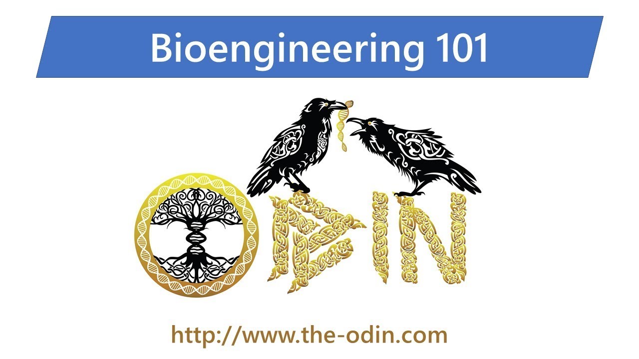 Bioengineering 101 - Class 1