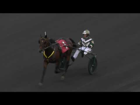 July 14, 2017 Non Betting Race NJSS 2YO Colt