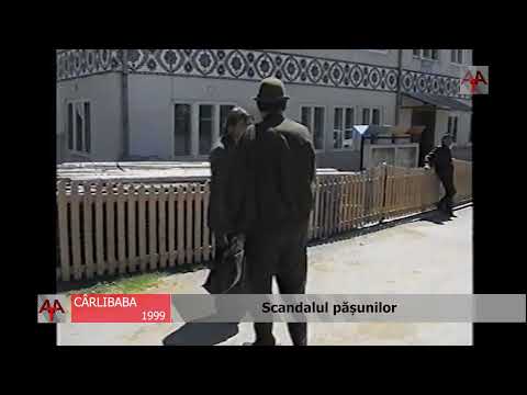 CÎRLIBABA-SV  (1999) - Scandalul pășunilor