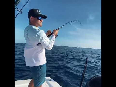 Epic Islamorada Fishing Frenzy!   Lobster, Mahi Tuna, Grouper Catch and Clean Cook | #shorts