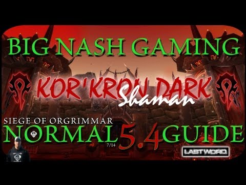 Kor'kron Dark Shaman Raid Guide