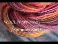 Wool n' Spinning: Spinning Singles