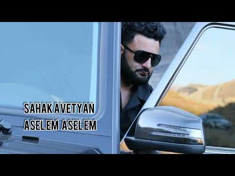 Hovhannes Vardanyan - ASEL EM ASEL EM (Cover by Sahak Avetyan)