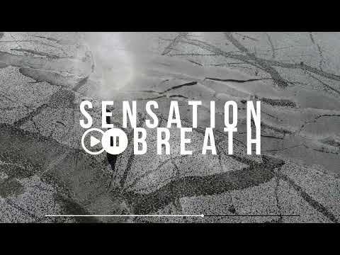 Dualhi x NALYRO - Falling Into You (feat. Lucy Warr)