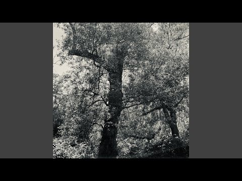 The Way to Shangri-La