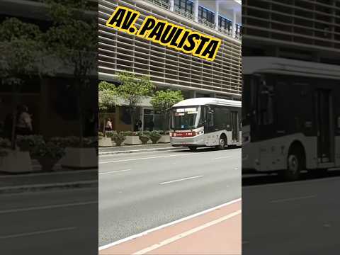MOVIMENTAÇÃO DE ÔNIBUS NA BELA VISTA - SP
