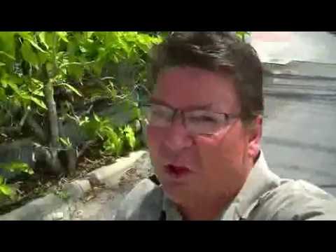 Joko in Thailand 11: Apartment Hunting