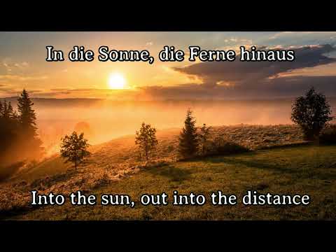 In Die Sonne Die Ferne Hinaus - Misc Traditional