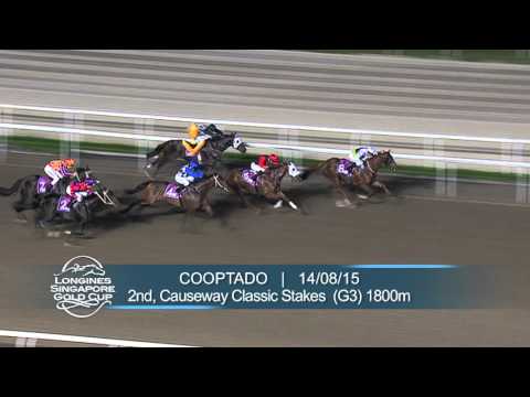 Longines Singapore Gold Cup 2015 Contenders (Cooptado)