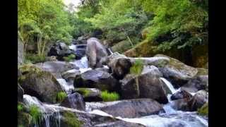 preview picture of video 'Parque natural Ría Barosa en Galicia Pontevedra (Spain)'