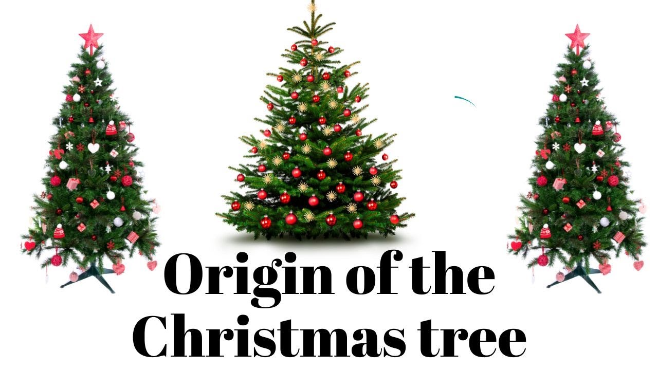 Origin of the Christmas tree- History and Evolution