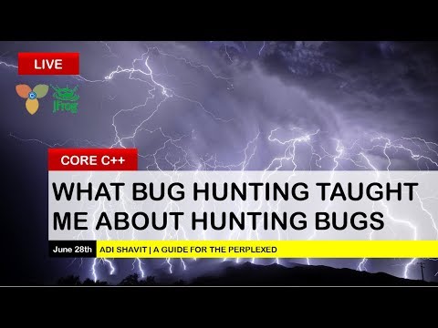 What Bug Hunting Taught Me About Hunting Bugs