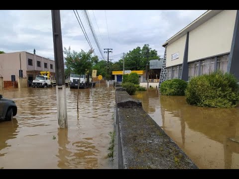Vídeo: Enchente atinge Porto Amazonas após cheia do Rio Iguaçu