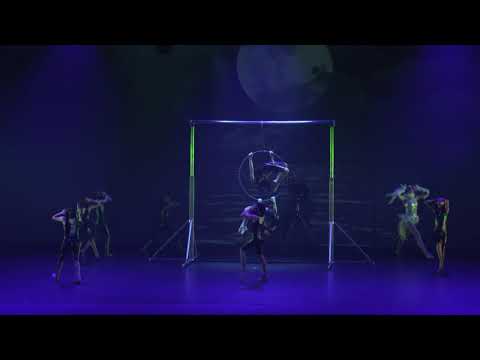 The Arena - 2018 Aerial Hoop Group